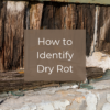Buyer’s Alert: Beware of Dry Rot in Southern California Homes Buyer’s Alert: Beware of Dry Rot in Southern California Homes